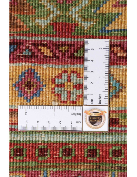 Tappeto Originale Rubin Pakistan 170x237 Multic