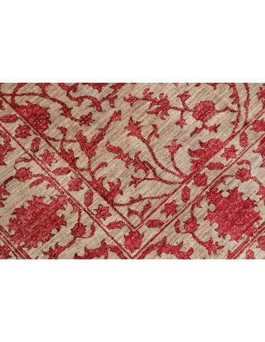 Tappeto Originale Zigler Fine Pakistan 173x239