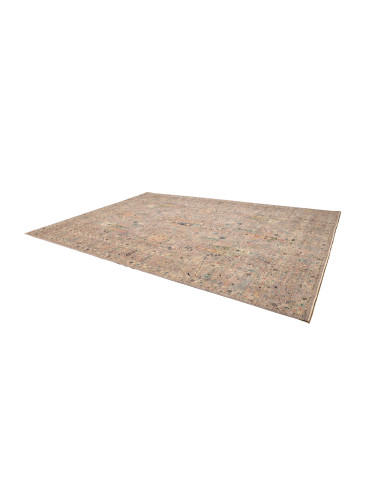 Hand Made Rug Shahi Fine Pakistan 305x419 Grey