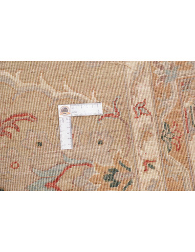 Tappeto Originale Zigler Fine Pakistan 297x396