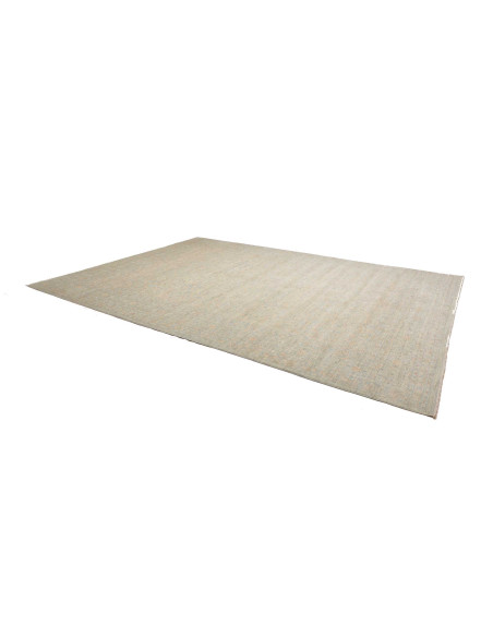 Hand Made Rug Ziegler Extra Fine Pakistan 300x4
