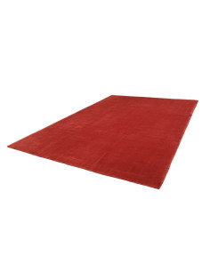 Hand Made Rug Kathmandu Nepal 250x350 Red Coral 2
