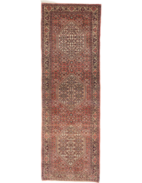 Hand Made Rug Bidjar Persia 74x221 Red Beige