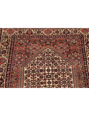 Hand Made Rug Bidjar Persia 74x221 Red Beige