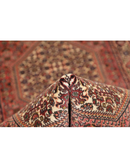Hand Made Rug Bidjar Persia 74x221 Red Beige