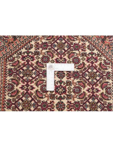 Hand Made Rug Bidjar Persia 74x221 Red Beige