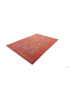 Hand Made Rug Kairo Pakistan 170x241 Rust Red A 2
