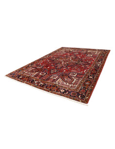 Hand Made Rug Gorawan Persia 260x334 Red Dark B 2