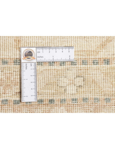 Tappeto Bakhteari Pakistan marrone bianco 302x392