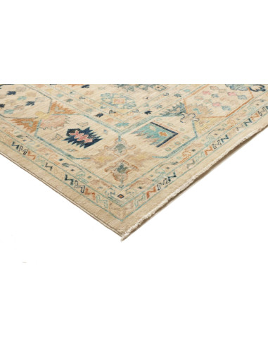 Rug Tribal Pakistan maroon beige 244x311