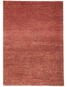 Tappeto Zigler Fine Pakistan marrone 172x240